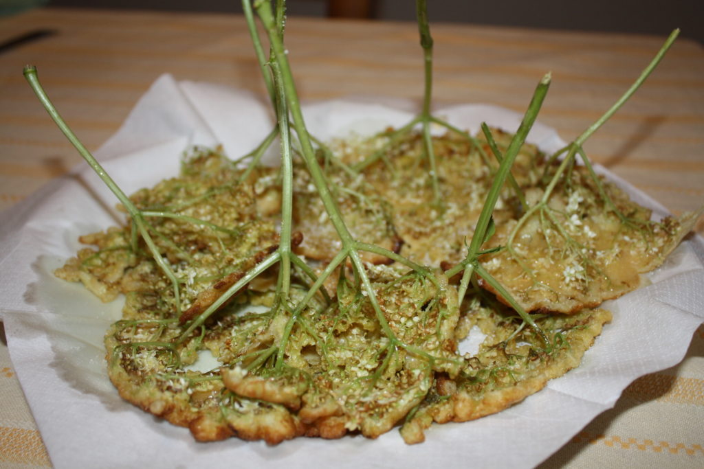 Buñuelos de saúco (Sambucus nigra). Foto: Airy Gras